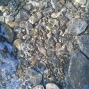 주어리경로당 이미지