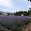 고향산천농장 이미지