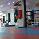 이장선 복싱다이어트 이미지