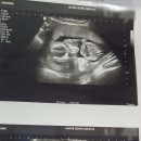 마리본산부인과의원 이미지