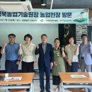 맘꽃 이미지