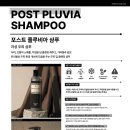 채라헤어