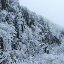 서석대 Daum카페