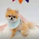 올리스 아시아드점 이미지