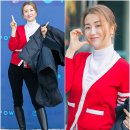 적토마 이미지