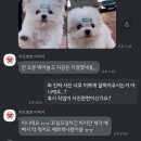 갓슬립케어 네이버블로그