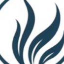 모멘텀헤어라인의원 이미지