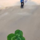 토루생태체험 이미지