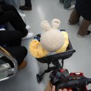 제주아씨 이미지