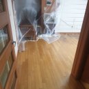 보강센트럴빌아파트 이미지