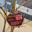 당감초등학교 병설유치원 이미지