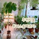 감성 플랜테리어 식물 휘커스 움베르타 키우기 이미지