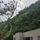 스테이투유 | [청주 애견동반펜션] 투유스테이펜션 : 반려견 동반 D동 내돈내산 재방문 후기