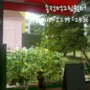 문인화/사군자(실용) 이미지