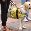 대전맹아학교 이미지
