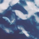푸른바다(blue&sea) 이미지