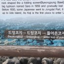 우도목장 이미지