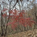 동해무릉건강숲 | [동해 무릉건강숲] 동해 가볼만한 곳 ㅣ동해무릉도원, 추암해변, 숙소 추천