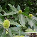 지구농장 이미지