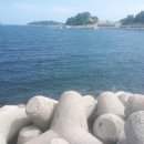 그린바다 이미지