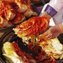 김치뚝딱 이미지