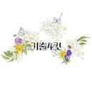 이원일 교수님의 '기출4컷_영문법편 특강'