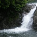 용추자연휴양림 이미지