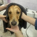 몽실묭실 이미지