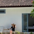 파인트리리조트 이미지