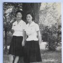 진명여자고등학교 이미지