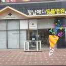 향남메디동물병원 이미지