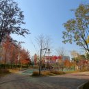 시립이든어린이집 이미지