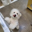 웰니스펫뷰티 이미지