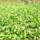 산제경로당 이미지