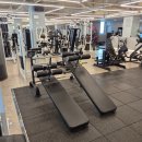 매드볼릭 이미지