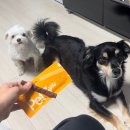 북악동물병원 | 서울대 수의사가 추천하는 강아지 영양제 간식 [펫세븐 오메가3/스트레스 케어/간 케어]