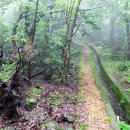 제주불교성지 순례길 절로 가는길 - 정진의 길 이미지