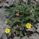 금창초교 이미지