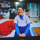 오고가고민박 이미지