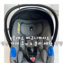 햇빛세탁 | 폴레드 바구니카시트 당근 후기(가격 및 주의사항), 분해 세탁방법