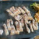 진성카써비스 이미지