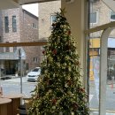 대전도안고등학교 | [대전카페] 원신흥동 디저트 카페 추천 딸기 티라미수 맛집 ‘커피를해랑’