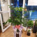 바다향기횟집 이미지