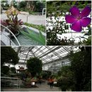 화랑하누 이미지