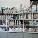 새싹 동물병원 이미지