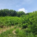 삼성테크노주유소 이미지