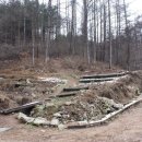 반딧불펜션 이미지