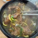삼계탕집에서 갈비탕 먹었는데…? 국물 진한 수육 갈비탕 후기｜개성상황버섯삼계탕 원곡점