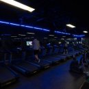 킹덤스포렉스 이미지