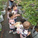 글로리아어린이집 이미지